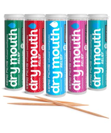 Xero Picks Dry Mouth Relief - Infused Flavored Toothpicks for Long Lasting Fresh Breath & Dry Mouth Prevention - 100 Picks - 5 Pack - Mints Variety
