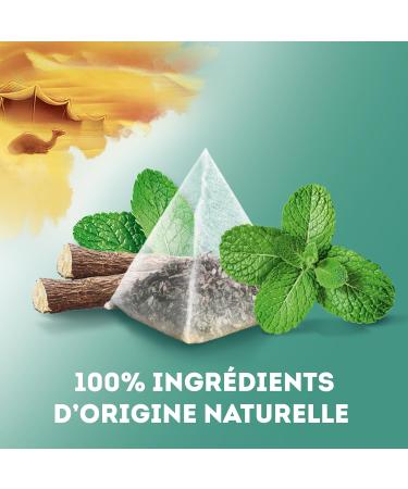 Lipton Evening Flavors Great South Infusions Liquorice and Mint Taste Relaxation Ingredients of 100% Natural Origin 20 - Buy Online on GoSupps.com