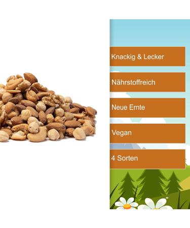 Shop Nut Mix BIG 4 MIX 1KG - 3KG | Roasted & Salted Cashews Almonds Walnuts Hazelnuts - International Shipping - Buy Online on GoSupps.com