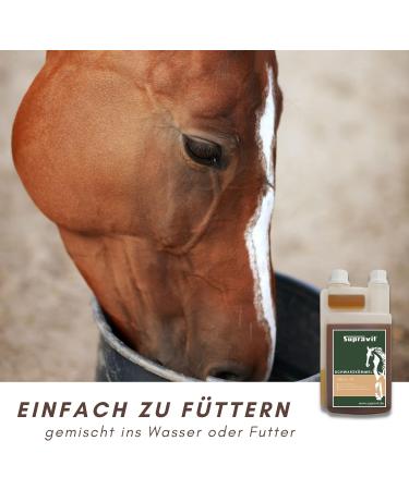 Supravit Black Cumin Oil for Horses & Dogs | 1000ml Cold Pressed Natural Oil | German Quality for Feeding Fur & Hoof Care - Buy Online on GoSupps.com