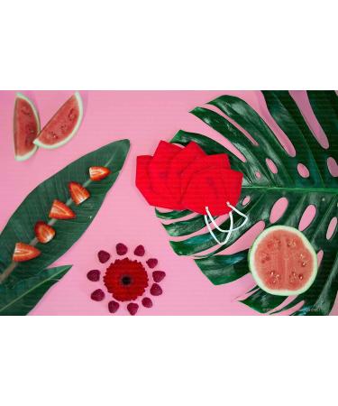 Buy Promedicalcare Mundship FFP2 Colored Masks - 10 Pack Red | High-Quality Mouth Protection for Safe Breathing - Buy Online on GoSupps.com