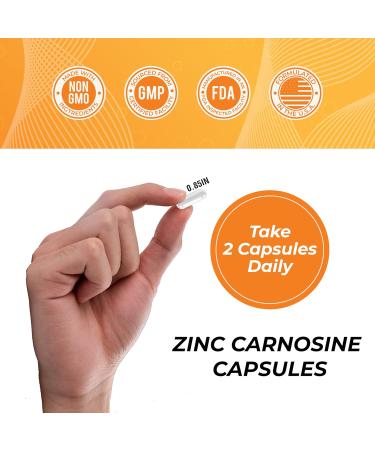 Zinc Carnosine 86 mg Clinically Studied Zinc + L-Carnosine Complex for Gut Lining & Stomach Support | 120 Capsules (60-Day Supply) | Digestive Comfort Mucosal Repair & Balance | Non-GMO - Buy Online on GoSupps.com