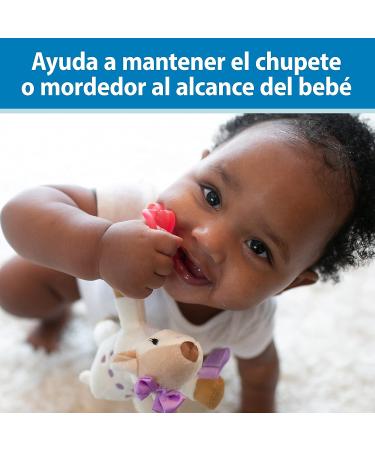 Dr. Brown's Baby Lovey Pacifier & Teether Holder  Triceratops with Grey HappyPaci  100% Silicone  0-12m - Buy Online on GoSupps.com