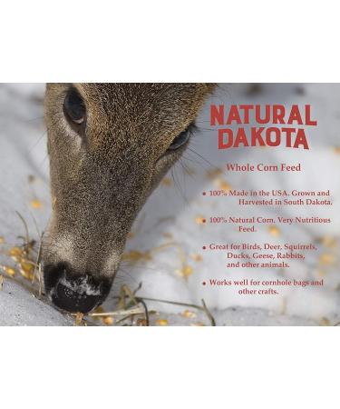 Natural Dakota Whole Corn Feed 3lb - South Dakota Grown for Birds, Deer, Squirrels & Wildlife - Buy Online on GoSupps.com