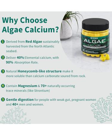 Vegan Sugar-Free Calcium Gummies 600 mg Supplement with Vitamin D3 for Bone Strength - 60 Count - Buy Online on GoSupps.com