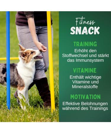 Breer's Cattlelung Dried Dog Snack 1kg - Premium Chewing Treats for Large & Small Dogs - Made in Germany - Buy Online on GoSupps.com