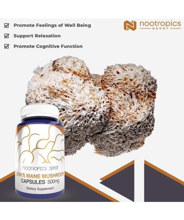 Nootropics Depot Lions Mane Mushroom Capsules | 500mg | 180 Count | Hericium erinaceus | Whole Fruiting Body Mushroom Extract | Brain Health Supplement | Neuroprotective + Boosts Mood 180 Count (Pack of 1) - Buy Online on GoSupps.com