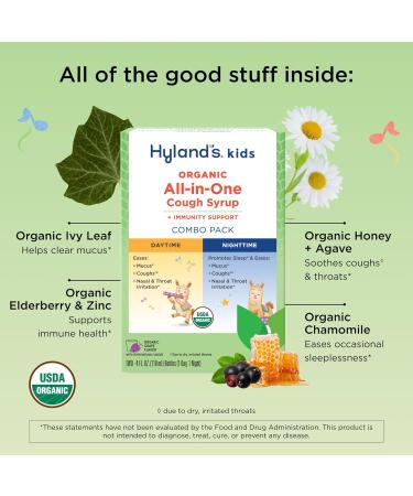 Hyland's Kids Organic All-in-One Grape Cough Syrup Day & Night Two 4 Ounce Bottles All-In-One - Day & Night Value Pack - Buy Online on GoSupps.com