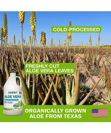 Land Art Organic Aloe Vera Gel - Unflavored | 64 fl oz - Cold-Processed Inner Fillet from Texas | Heartburn Relief | Acid Reflux Formula - Buy Online on GoSupps.com