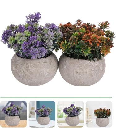 Ciieeo 2pcs Simulated Green Bonsai Artificial Succulents Plants Miniture Decoration Artificial Cactus Small Succulent Plants Silk Plants Greenery Decor Accessories Office Foam Nordic - Buy Online on GoSupps.com
