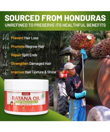 Raw Batana Oil Batana Cream For Hair Growth 120ml 100% Pure Natural Raw Batana Oil from Honduras Unrefined and Organic Hair Mask Prevent Hair Loss Promote Hair Thickness for Women & Men - Buy Online on GoSupps.com