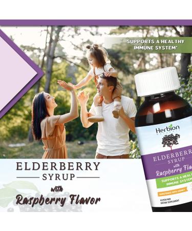 Herbion Naturals Elderberry Syrup - Immune Support for Adults & Kids Honey Sweetened Natural Raspberry Flavor - Shop Now! - Buy Online on GoSupps.com