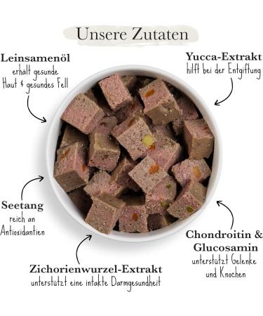 Forthglade Wet Dog Food (12 x 395g) - Grain Free Food with Lamb and Vegetables for Adult Dogs 1 Year and Older - Hypoallergenic Food for Sensitive Dogs - Buy Online on GoSupps.com