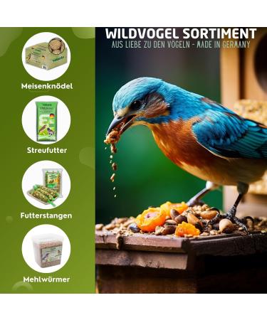 Eggersmann volaris 10kg Dried Mealworms | High in Protein & Natural | Ideal for All Types of Birds | Wild Bird Food All Year - Buy Online on GoSupps.com