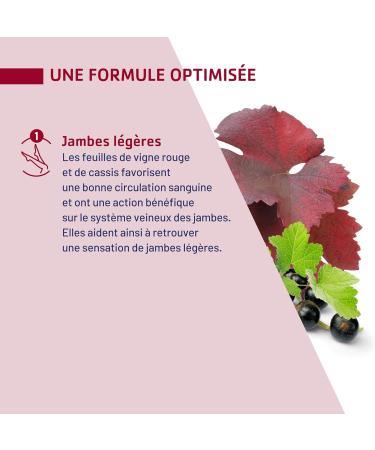 JUVAMINE - Light Legs - Red Blackcurrant Vine - Promotes Circulatory Well-Being - Action on the Venous System of the Legs - 30 days program - Made in France - Buy Online on GoSupps.com