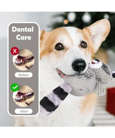 Wookiwuki Dog Toys for Small & Medium Breeds - Cute Raccoon Shape Soft Squeaker & Crinkle Tail - Fun Puzzle Toys for Puppies - Buy Online on GoSupps.com