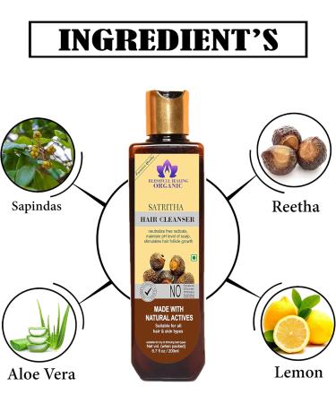 Blessfull Healing Organic Satrita Hair Cleanser | Shampoo 200 ML (Packing May Vary) - Buy Online on GoSupps.com