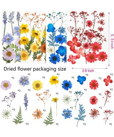 Colorful Real Dried Pressed Flowers & Leaves for Crafts - Resin Art, Floral Decor, Candle & Jewelry Making - Buy Online on GoSupps.com