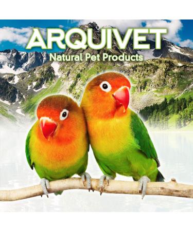 Arquivet Stainless Steel Bird Food Bowl with Hooks - 150ml Food Dispenser & Feed Container for Birds - Buy Online on GoSupps.com