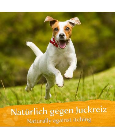 Belisy Itching Bach Flowers for Dogs & Cats - Natural Skin Care & Fur Care - Non-Alcoholic Emergency Remedy - 10g - Buy Online on GoSupps.com