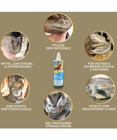 Fork care for horses I Fork protection Hoof care I Clog fork sole I Fork gel I Fork rot prevention I against moisture 100 ml - Buy Online on GoSupps.com
