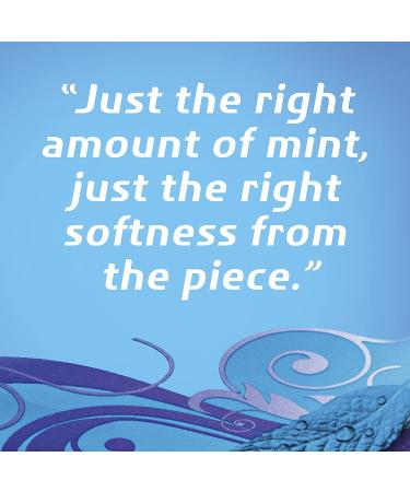 Dentyne Pure Mint Sugar-Free Gum with Herbal Accents - 90 Pieces, 10 Packs - Buy Online on GoSupps.com