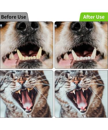 Pinsheng Dog Toothbrush Set - 2 Silicone Finger Brushes & 4 Dual-Head Toothbrushes for Dogs & Cats | Effective Pet Dental Care - Buy Online on GoSupps.com