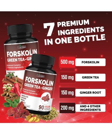 Cadane Forskolin Supplement with Green Tea Ginger Dandelion Cayenne Fennel and Licorice| Body Management & Energy Support | Vegan Non-GMO 90 Capsules 45-Day Supply - Buy Online on GoSupps.com