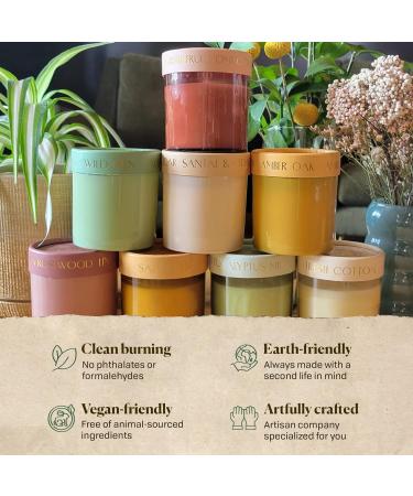 Shop Paddywax Firefly Optimist Scented Candle - 7oz Soy Wax Wild Fern Fragrance Reusable Glass Jar | International Shipping Available - Buy Online on GoSupps.com