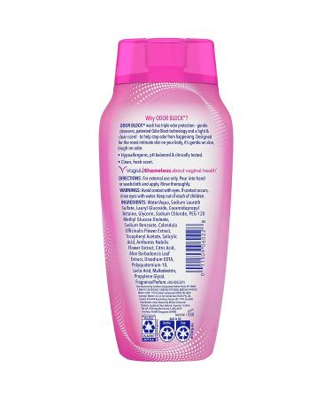 Vagisil Odor Block Daily Intimate Feminine Wash 12 Fl Oz - Gynecologist Tested - Buy Online on GoSupps.com