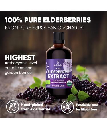 Organic Elderberry Syrup USDA Certified 3.4 fl oz Bottle Liquid Sambucus Elderberry Immune Support Supplement for Kids and Adults Alcohol-Free European Origin Elderberries Extract High Bioavailability Elderberry 3.4 Fl Oz (  - Buy Online on GoSupps.com