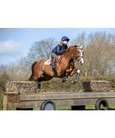LeMieux Carbon Air XC Cross Country Front Horse Boots - Protective Gear and Training Equipment - Equine Boots Wraps & Accessories (Black/Medium) Medium Black Carbon Air Xc - Buy Online on GoSupps.com