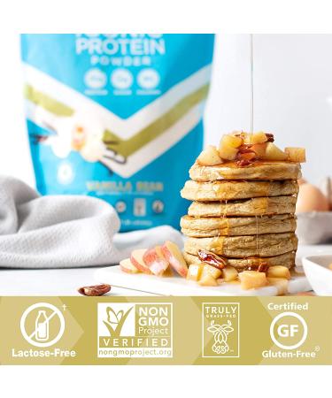 Iconic Protein Powder Vanilla Bean - Sugar Free, Low Carb, Keto, 20g Grass Fed Protein - 1 lb Pouch - Buy Online on GoSupps.com