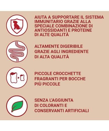 PURINA ONE Mini Dog Food - Beef Duck & Vegetables (Pack of 40 x 100g) - Premium Pet Nutrition for Healthy Dogs - Buy Online on GoSupps.com