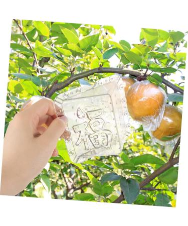 GANAZONO 4 Pcs Square Apple Molds Mushroom Square molds for Garden Shaper Cucumber Alien - Buy Online on GoSupps.com