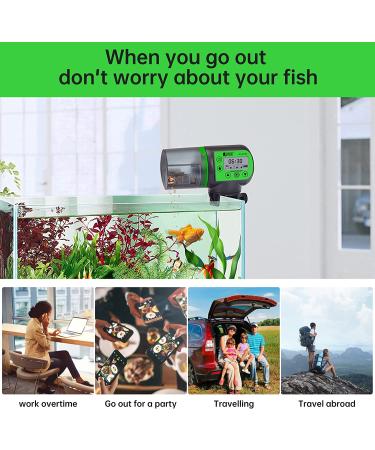 SUNWEN Automatic Fish Feeder with 2 Timer Dispensers - 7oz Auto Fish Food Feeder for Aquarium - Ideal for Vacation - LED Screen Included - Buy Online on GoSupps.com