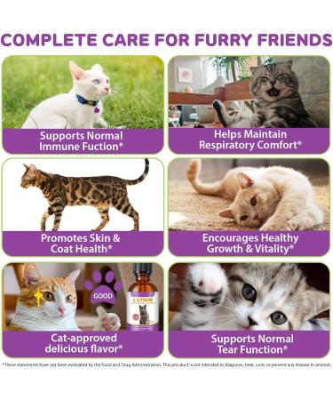 2 PCS L-Lysine Supplement for Cats, Immune & Respiratory Support Liquid with Natural Ingredients, Chicken Flavor Dietary Supplement for Skin, Coat & Eye Health, 2 fl oz - Buy Online on GoSupps.com