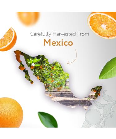 Buy HBNO Organic Orange Essential Oil 4 oz | USDA Certified Cold Pressed Aromatherapy & DIY | Worldwide Shipping - Buy Online on GoSupps.com