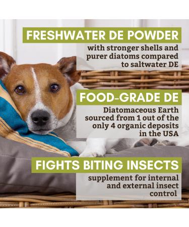 Wholistic Pet Organics Diatomaceous Earth Wormer 4.5 oz - Buy Online on GoSupps.com