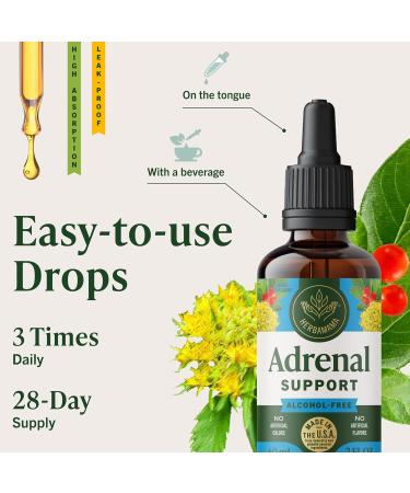 HERBAMAMA Adrenal Support Liquid Drops - Vegan Adrenal Tincture with Ashwagandha Root & Rhodiola Rosea Extract - Non-GMO, Alcohol & Sugar-Free Supplement - 28-Day Supply 2 Fl Oz (Pack of 1) - Buy Online on GoSupps.com