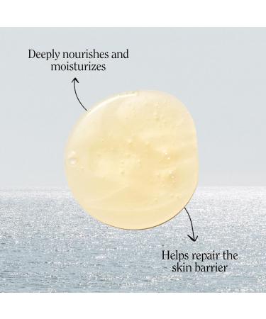 California Naturals Body Wash for Women and Men Vitamin E Shower Gel Cleanser Natural Vegan & Cruelty Free Paraben & Sulfate Free Moisturizing Skin Coconut All Skin Types 16.5 fl oz 16.5 Fl Oz (Pack of 1) - Buy Online on GoSupps.com