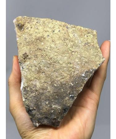 1PC 1PC Natural RAW Citrine Quartz Yellow Quartz Standard Room Decoration (Size : 50-100g) (Size : 1 Count (Pack of 1)) - Buy Online on GoSupps.com