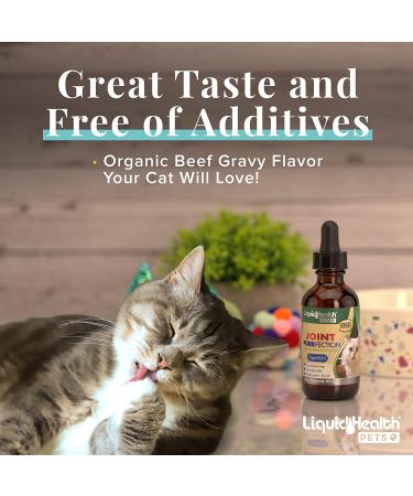 LIQUIDHEALTH 2.3 Oz Liquid Cat Glucosamine Joint Support - Hip & Joint Relief for Senior Cats & Kittens - Buy Online on GoSupps.com