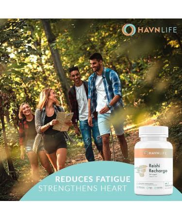HAVN Life Reishi Recharge - Pure Reishi Mushroom Capsules for Immune Support Stress Relief and Liver - Brain Support Energy Booster Mushroom Supplement - Antioxidant and Non-GMO - 60 Vegan Capsules - Buy Online on GoSupps.com