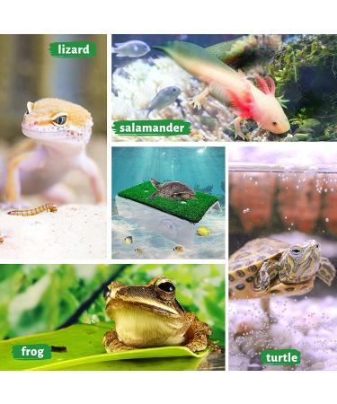 Keedolla Turtle Basking Platform: Large Green Grass Ramp for Aquarium - Ideal Tortoise Resting Terrace & Reptile Pier - Buy Online on GoSupps.com