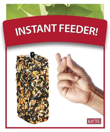 Kaytee Woodpecker Bird Seed Bar 11 oz - Nutritious Treat for Woodpecker Species - Buy Online on GoSupps.com