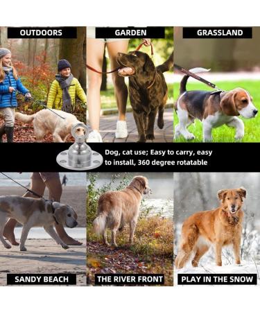 Qcwwy Stainless Steel Dog Anchor | 360 Rotatable Rust-Free 5m Cable for Large Dogs | Durable Pet Anxiety Solution for Courtyard Lawn & Outdoor Camping - Buy Online on GoSupps.com