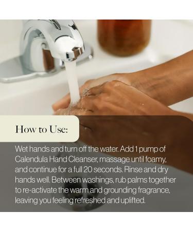 ESKER Natural Calendula Hand Cleanser | Plant-Based Cruelty-Free Clean Beauty | 16.9 fl oz Glass Bottle - Buy Online on GoSupps.com