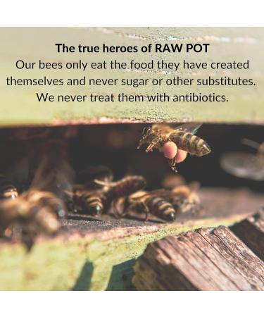 Organic Propolis Kids 1+ Spray - Alcohol-Free 100% Pure Bee Propolis Extract - Immune Booster & Sore Throat Relief for Children - 20ml - Buy Online on GoSupps.com