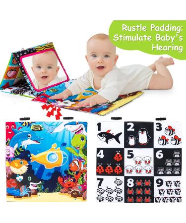 Auney Toys for 0-9 Months - Foldable Mirror & Crackling Book | Toddler Education & Cognitive Baby Toys for Newborns - Buy Online on GoSupps.com